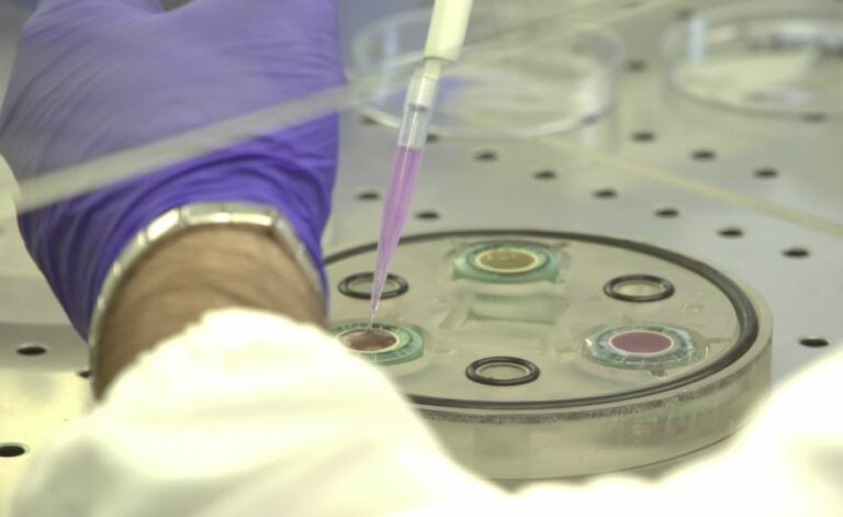 Da terapia ultrasonica effetti anti-infiammatori sui macrofagi