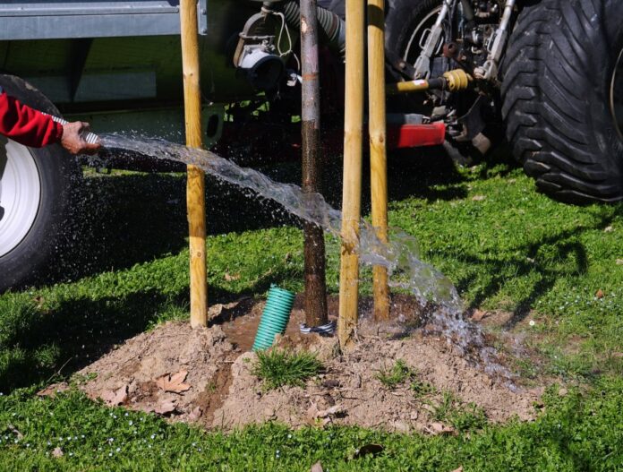 Allarme siccita' , mancanza d'acqua, l' area verde del comune di Milano ha deciso di fare bagnare le piante piu' giovani con l' autobotte