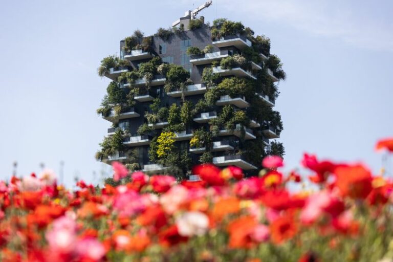 Case green, Baccarini “Aggiustamenti insufficienti”