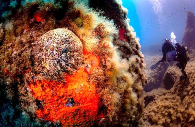 L’Italia rafforza la rete delle Aree Marine Protette nel Mediterraneo