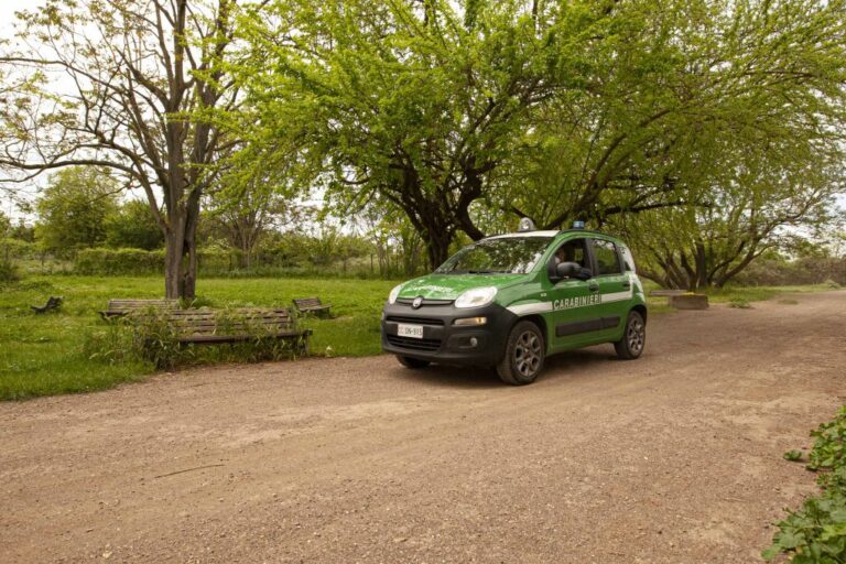 Roma, tutto pronto al Villaggio per la Terra dei Carabinieri Forestali