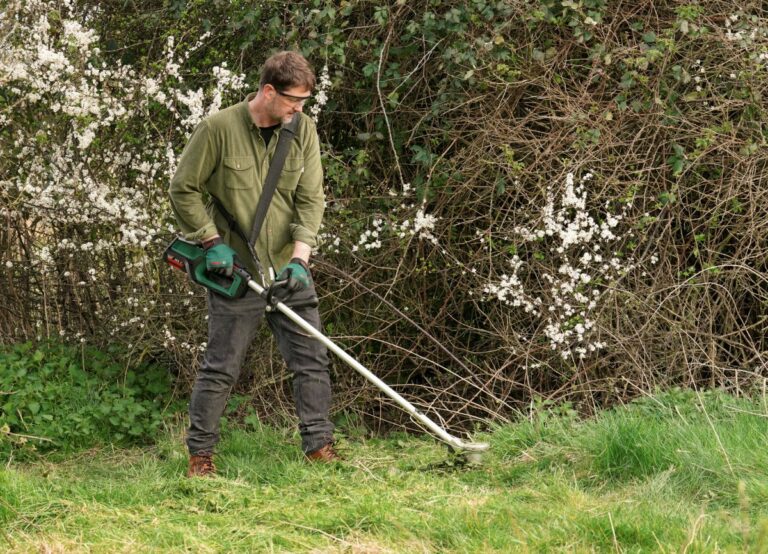 Nuova sega a catena e decespugliatore Bosch senza fili