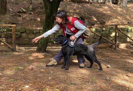 Dopo l’asino “operatore ecologico”, a Castelbuono un labrador raccoglie plastica abbandonata