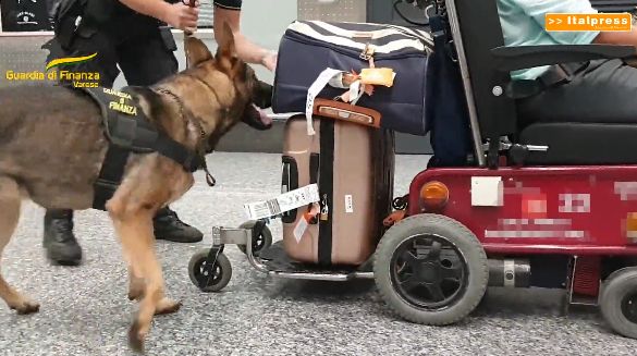 Nascondeva 8 chili di cocaina nella sedia a rotelle, arrestato a Malpensa