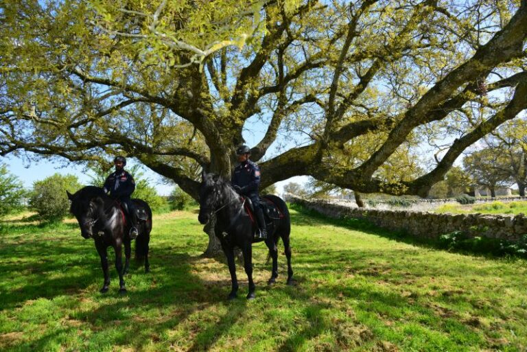 Biodiversità, mostra all’Onu sulle attività dei carabinieri