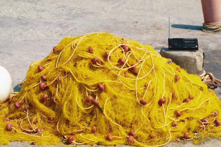 Pesca, Piana “Nuove possibilità per le marinerie liguri”