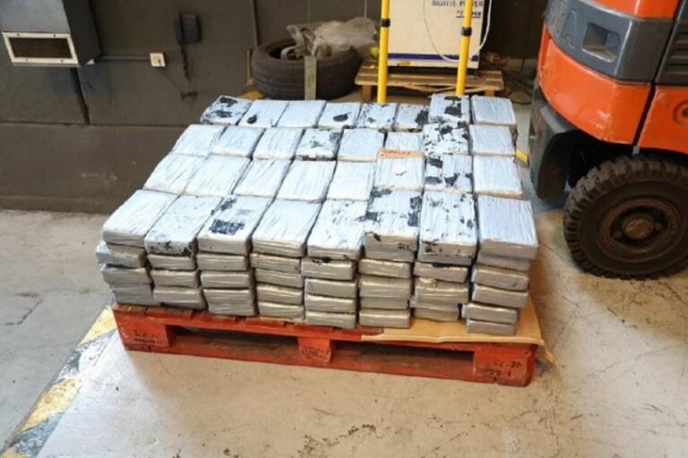 Malta, Dogana intercetta carico di banane con 270 chili di cocaina