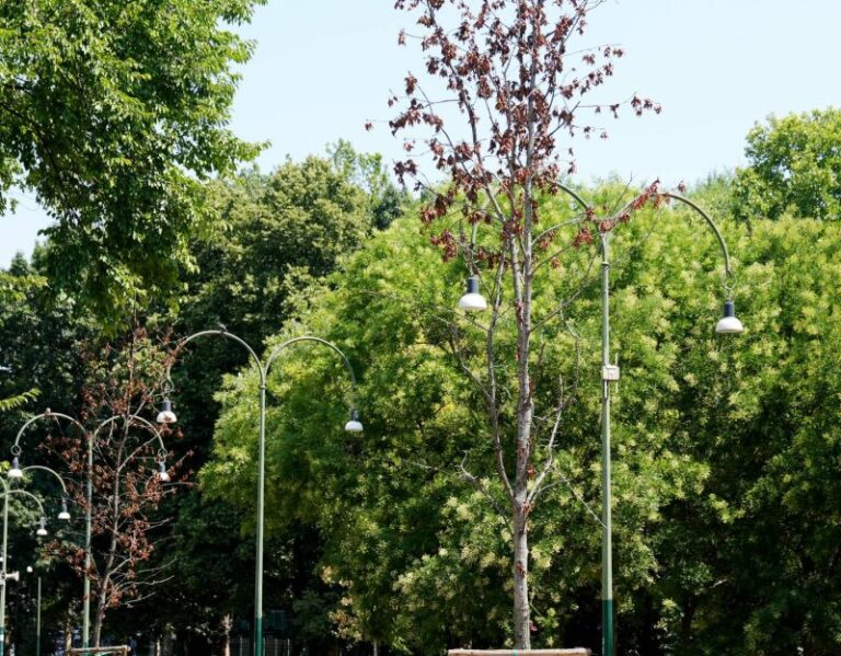 Liguria, al via la nuova campagna social dedicata ai parchi