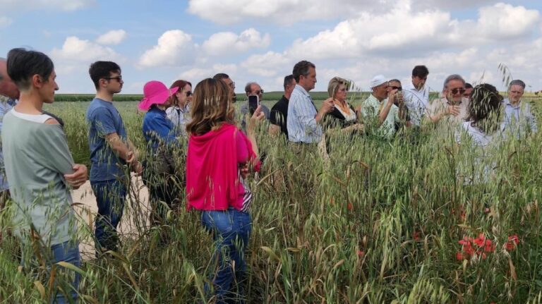 Crea, la diversificazione genetica al centro del progetto All Organic