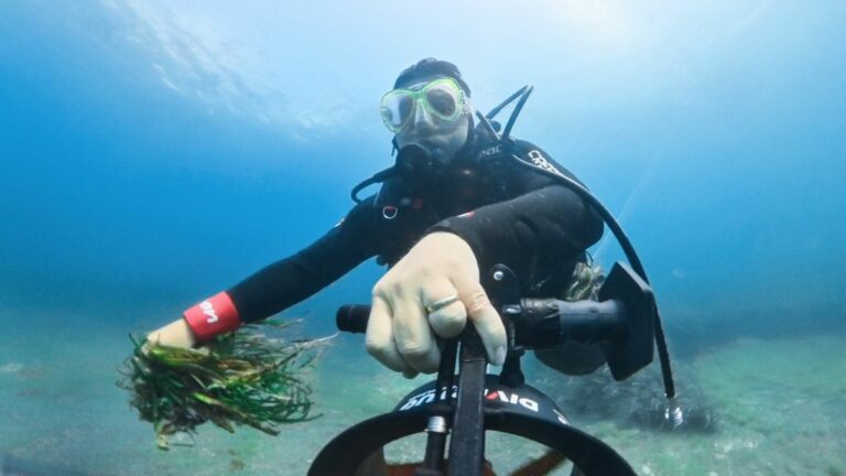 E.ON lancia il progetto Energy4blue per la salvaguardia del mare
