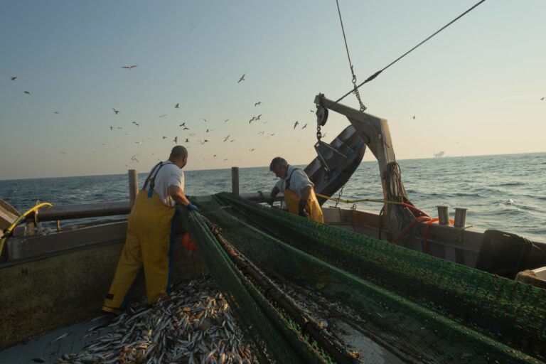 Malta urges non-EU states to adopt the same laws for fishing