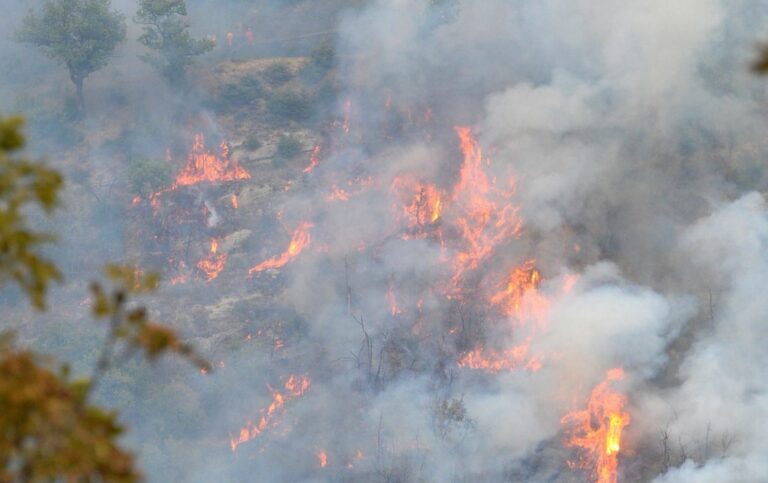 Incendi boschivi, divieto assoluto di accensione fuochi in Toscana