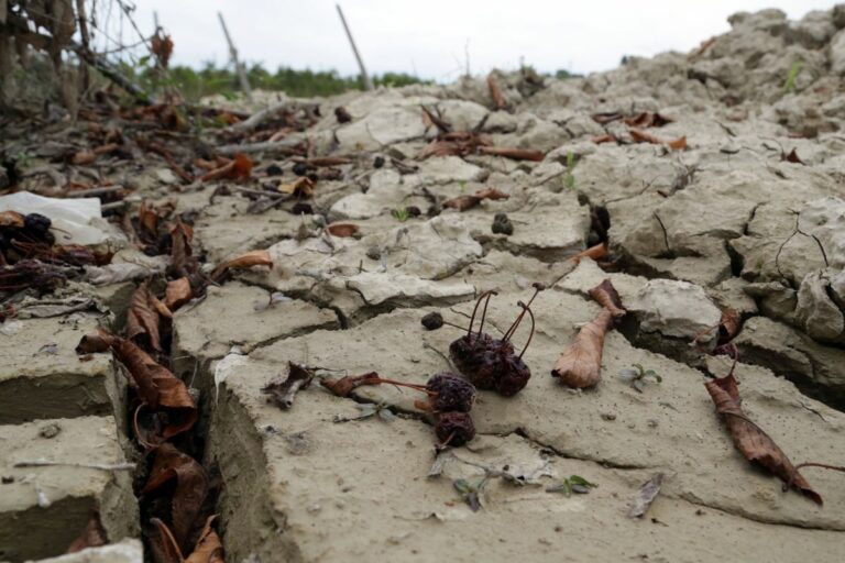 Alluvione in Emilia-Romagna, danni alla cultura per 65 milioni