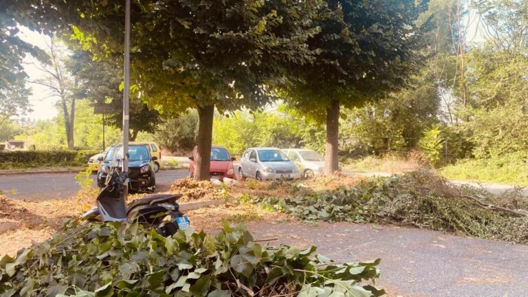 Roma San Basilio, intervento straordinario di cura del verde e decoro