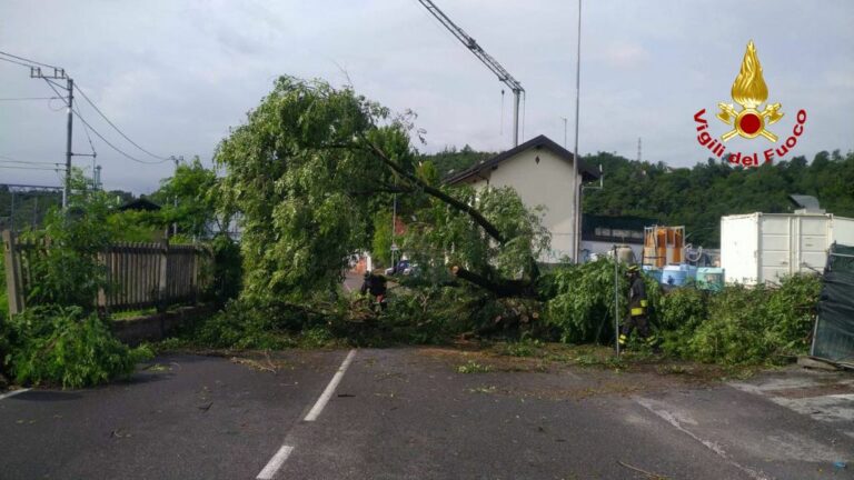Maltempo Lombardia, tetti divelti e alberi caduti. 330 interventi Vvf