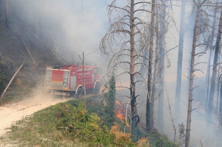 Approvato il Piano regionale antincendio 2023-2025