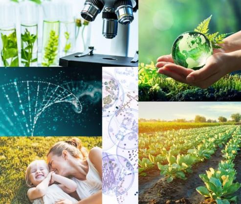 Biotecnologie in crescita, 13 miliardi di fatturato e 14 mila addetti