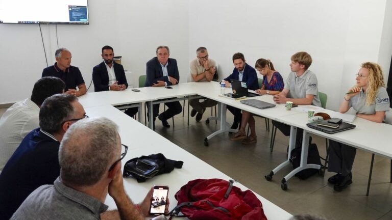 Porcu “Cervo sardo va protetto, serve una gestione attenta”