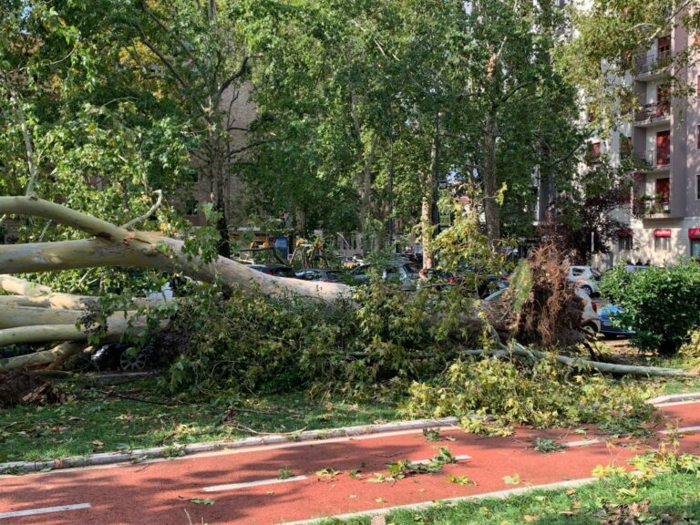 Maltempo a Milano, Aci chiede di sospendere Area B e Area C