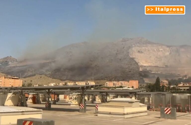 Incendi nel Palermitano, evacuate 1500 persone