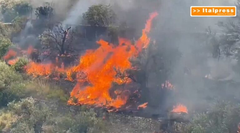 Gli incendi devastano Palermo e la Provincia