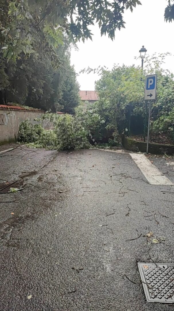 Maltempo, Sala “Spero situazione torni normale entro fine agosto”