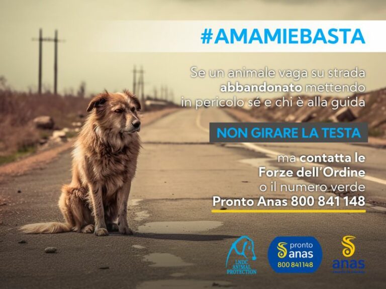 Torna campagna Anas contro abbandono animali con Lndc Animal Protection