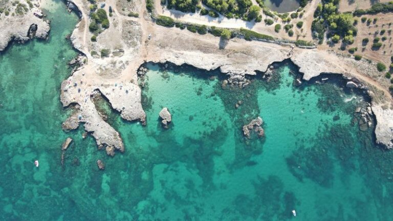 Forum Internazionale del Mediterraneo “Verso Sud”