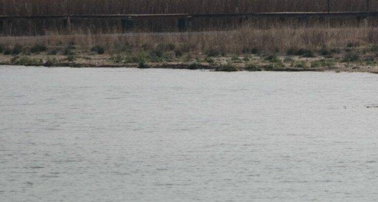 Lago di Garda, 50 mila euro dalla Regione Veneto per la sicurezza della navigazione