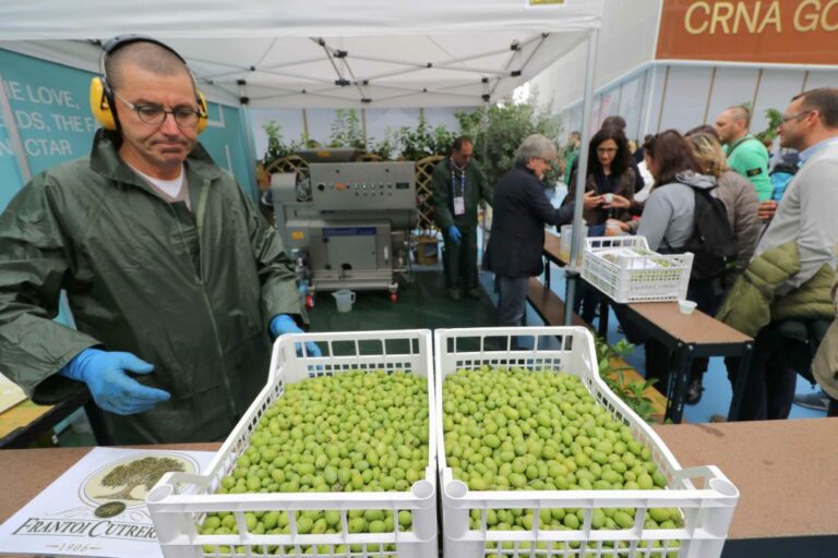 Beduschi “Regione Lombardia finanzia nuovo frantoio”