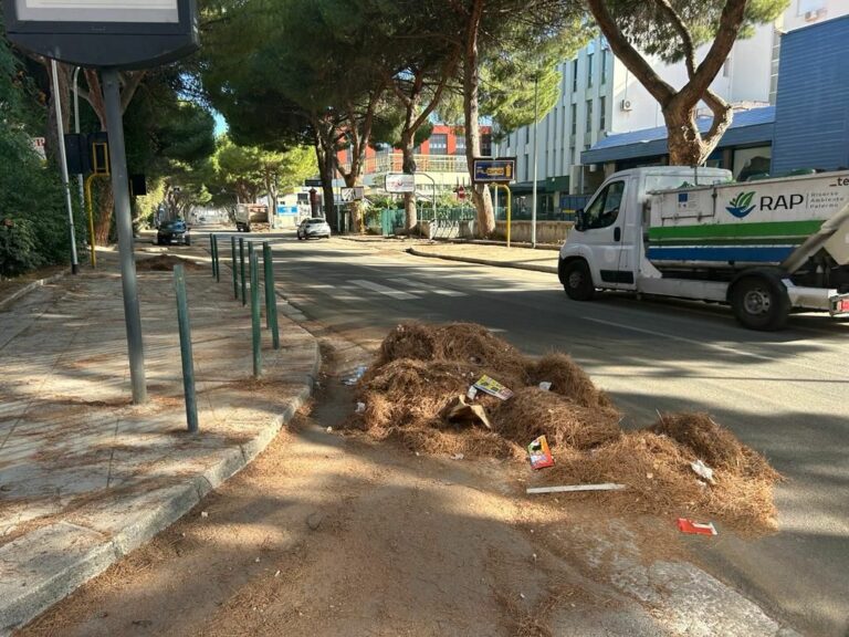 Dopo i roghi a Palermo squadre Rap in azione per la pulizia delle strade