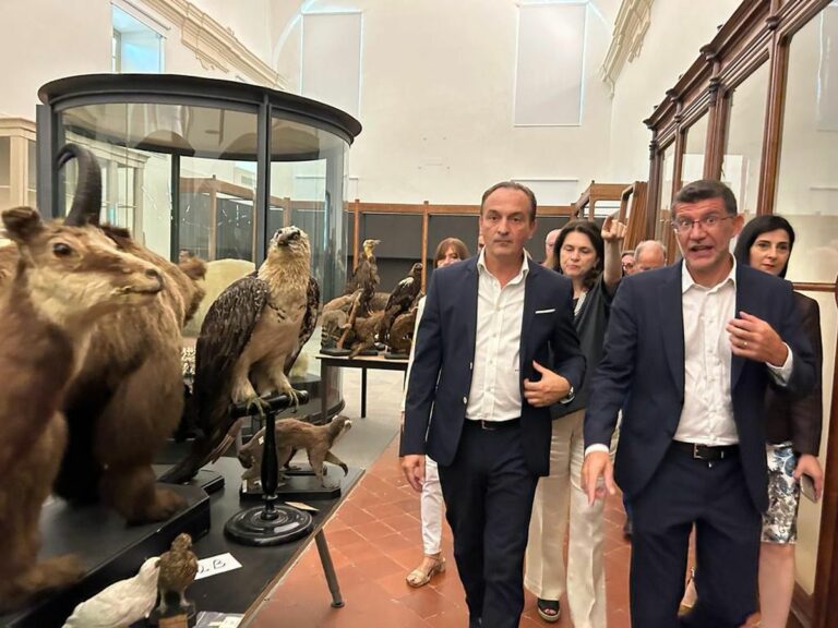 Riapre a dicembre il Museo di Scienze naturali di Torino