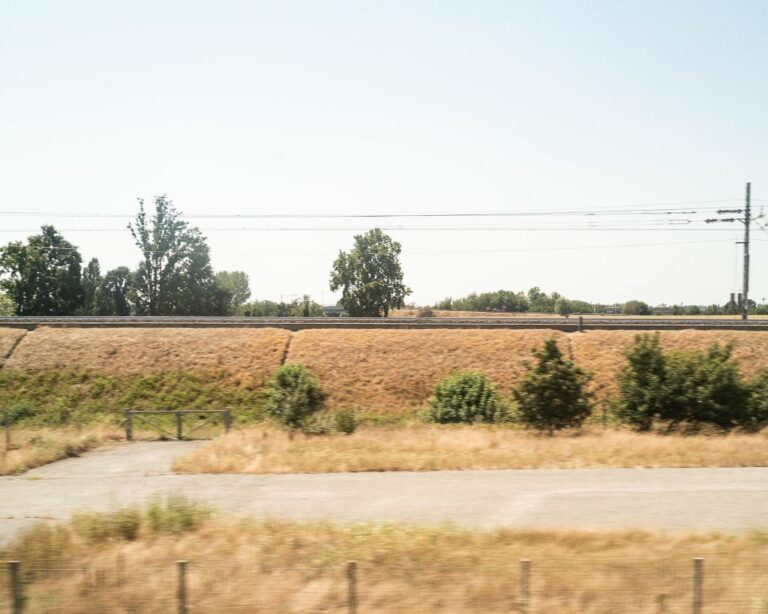 Confagricoltura “Necessari Piano Pluriennale e valorizzazione del grano”