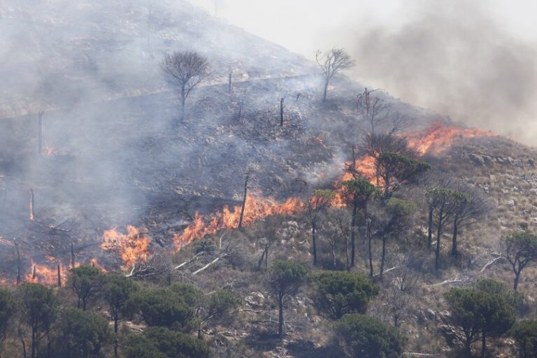 Incendi, Santanchè “Ampliato stanziamento per Sicilia e Sardegna”