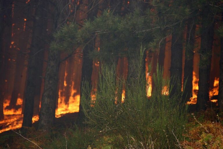 Incendi, Occhiuto “In Calabria salvati tanti ettari di natura”