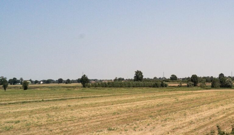 Lithuania offers new access to export wheat from Ukraine