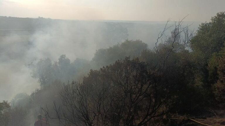 Incendio nel tarantino, salvi 30 ettari di bosco