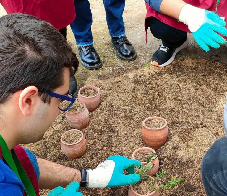 Al via i bandi per Azienda Agricola Pompei e “Horti Plinii”