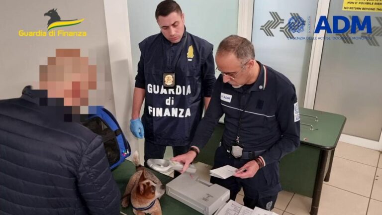 Aeroporto di Verona, scoperto traffico illecito di cuccioli dalla Russia