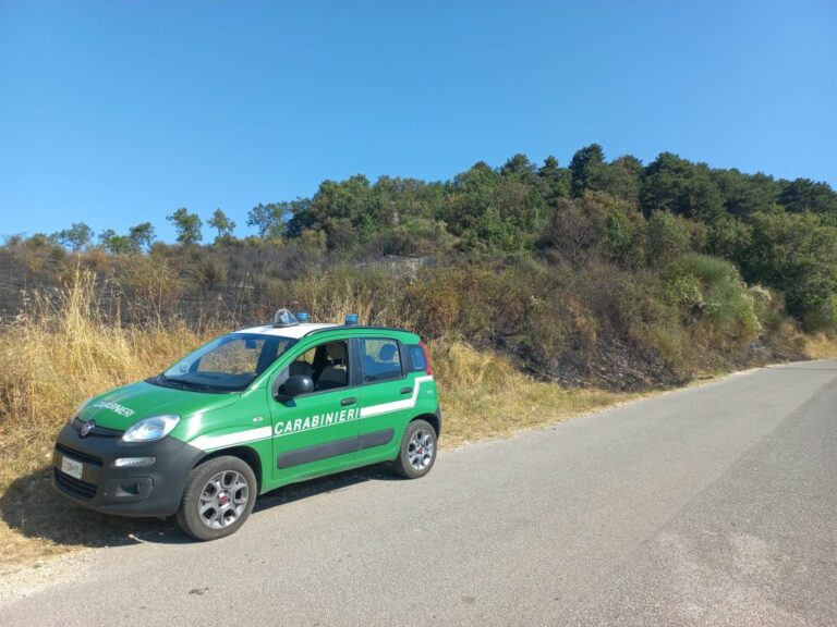 Incendi boschivi, arrestato a Rieti un piromane in flagranza di reato