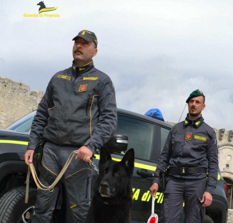 Controlli antidroga nel Foggiano, segnalati 85 consumatori