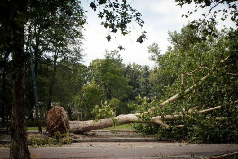Maltempo, in Lombardia 235 milioni di danni in agricoltura