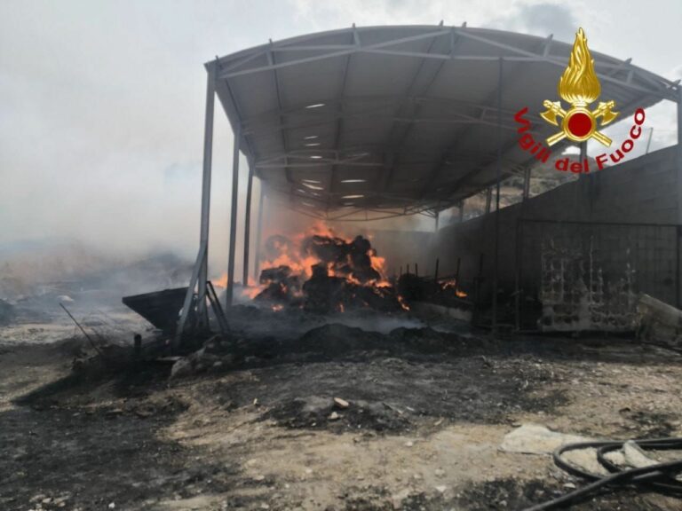 In fiamme stalla a Corleone, strage di bovini