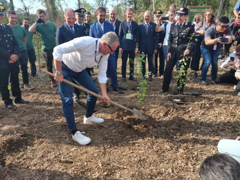 Formula 1, i Carabinieri lanciano l’iniziatva “Ogni pilota un albero”