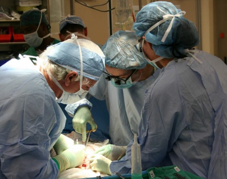 Donazione di organi al Policlinico di Palermo
