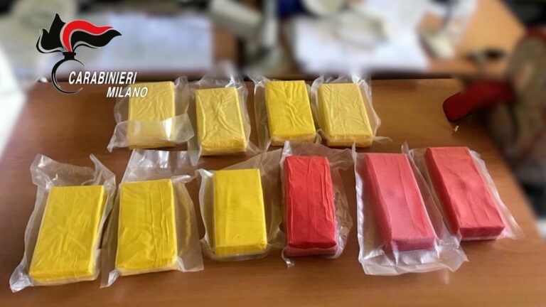 Milano, smantellata organizzazione criminale. 24 arresti