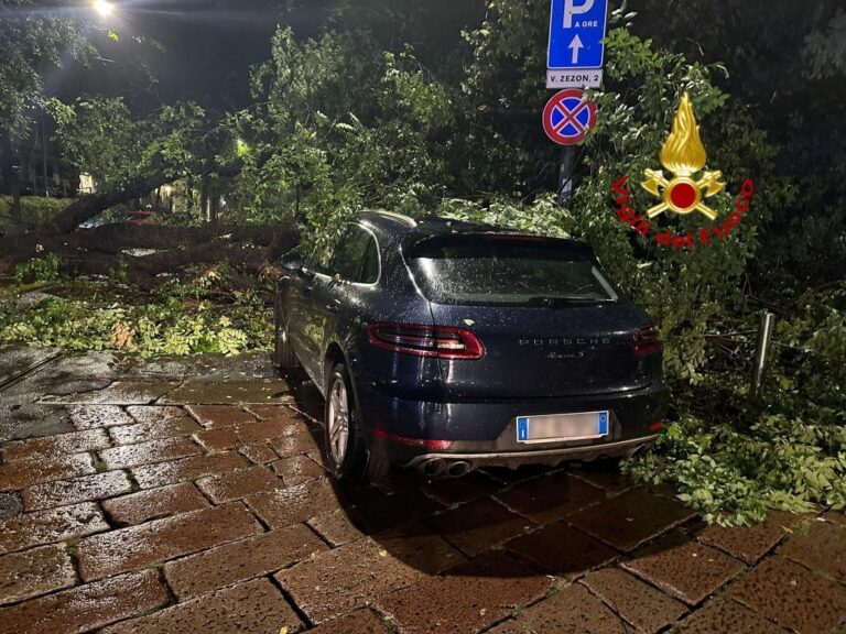 Maltempo a Milano, allagamenti e alberi caduti. 30 interventi dei Vvf