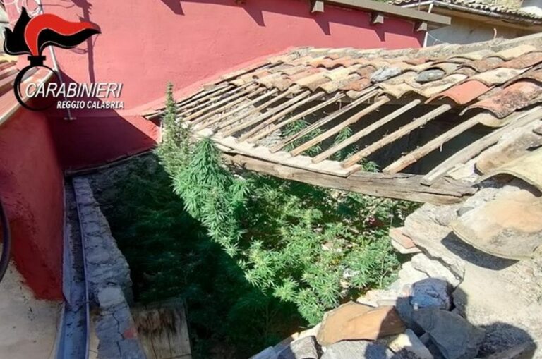 Trovato con 3,5 kg di marijuana, arrestato 56enne nel reggino
