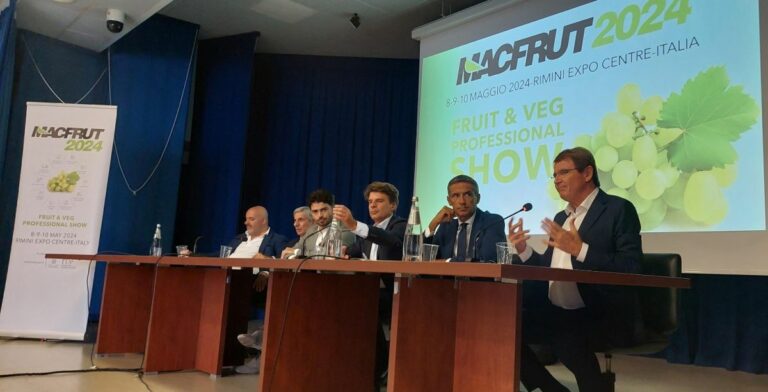 Puglia Regione partner di Macfrut 2024, uva da tavola prodotto simbolo