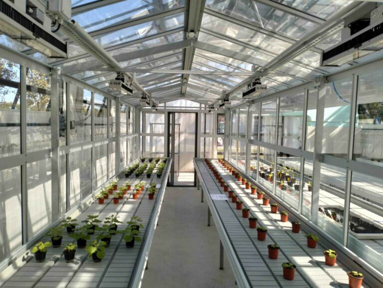 All’Università di Pavia GreenTechHouse, una nuova serra sperimentale